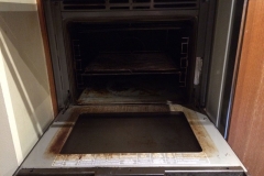 Image: A look on the seedier side of oven cleaning.