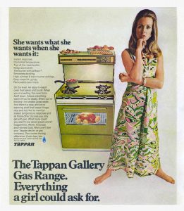 Image: 'She wants what she wants when she wants it' Tapan Gallery 1975.